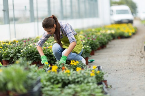 Gardener assessing a garden with tools