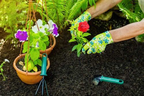 Gardener working in a Crystal Palace garden, close-up of hands pruning a plant