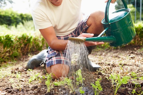 Accessible gardening information layout on a screen with clear headings and high contrast