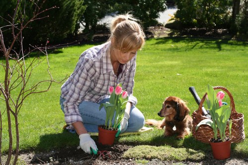 Staff member preparing accessible materials and alternative formats for garden services