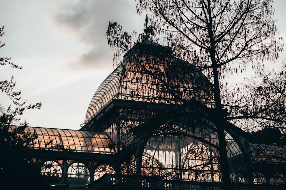 A large glasshouse structure with curved, transparent glass panels framed by dark metal, situated among tall trees with branches and leaves partially obscuring the view. The greenhouse has an arched r